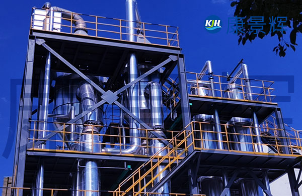 6T/h二元酸廢水蒸發結晶設備