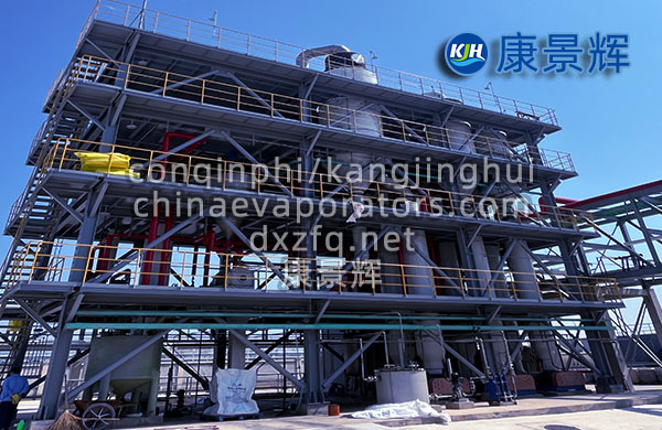 5t/h硝酸鈉雙效蒸發(fā)器